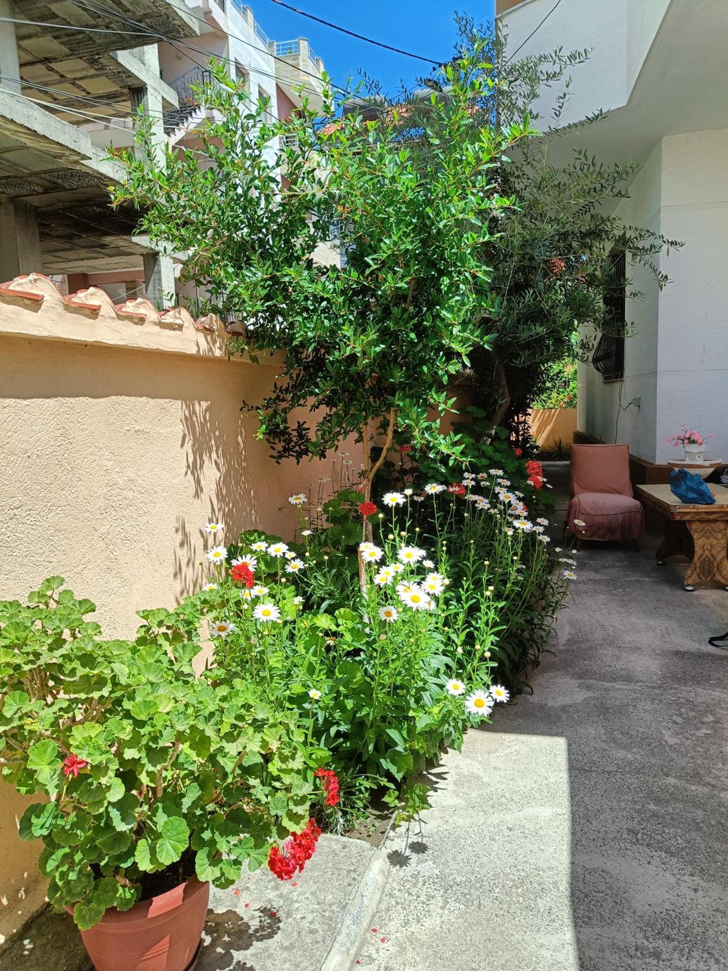 Vila Semako Durres Ngoại thất bức ảnh